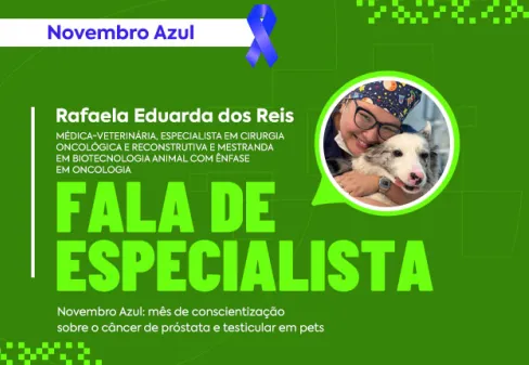 Capa da notícia