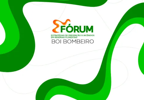 Boi Bombeiro