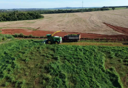 Colheita Cidade do Agro