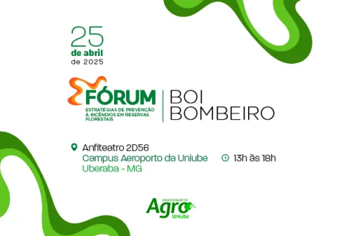 Boi bombeiro
