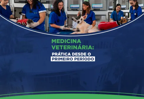 Capa da notícia